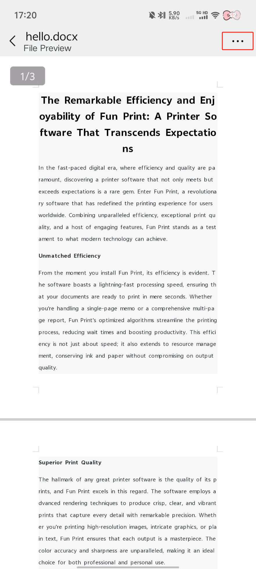 Document selection and opening options in FunPrint