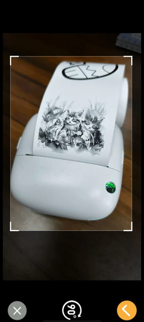 Cropping a phone photo before printing it as a sticker