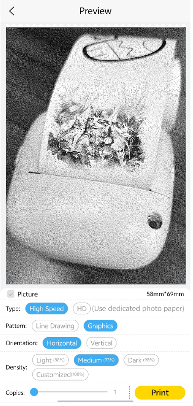 Print settings and customization options