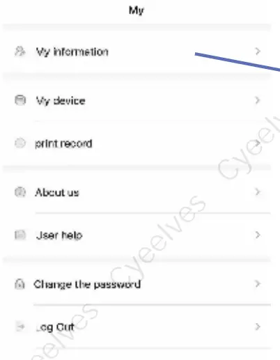 Bluetooth Connection Screen